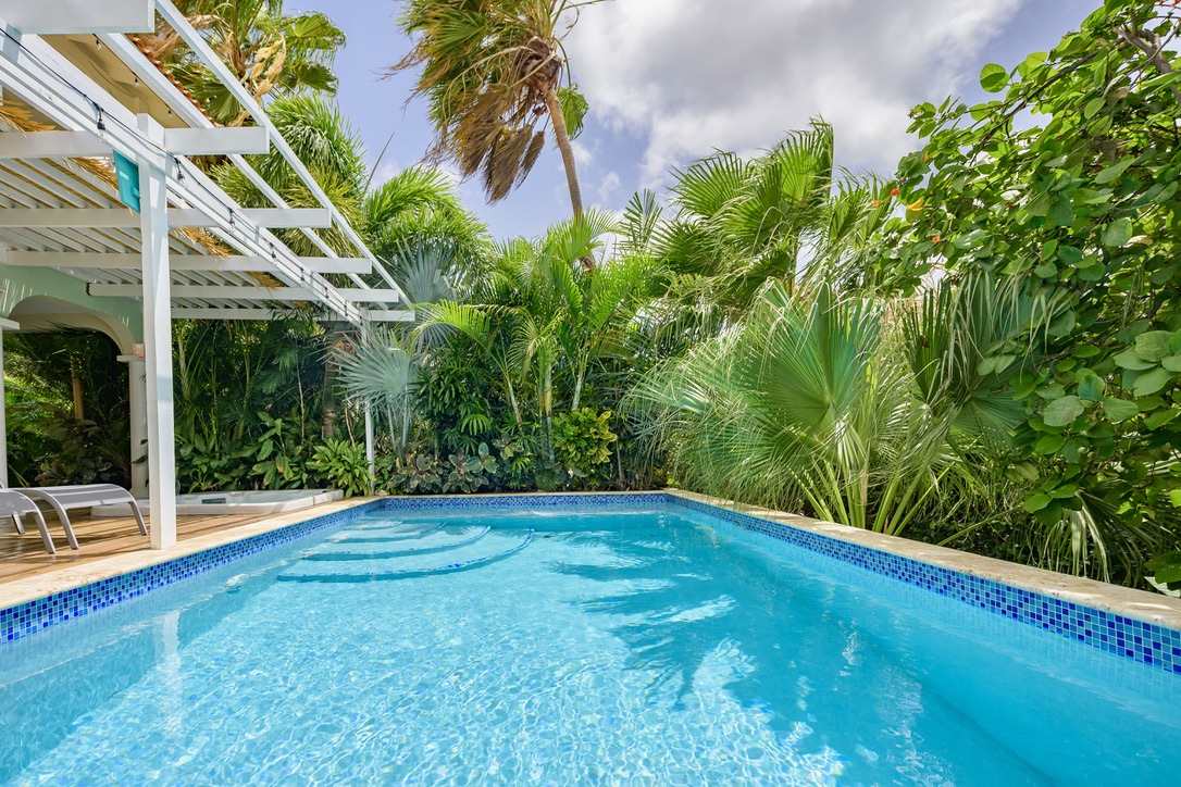 The pool and tropical garden