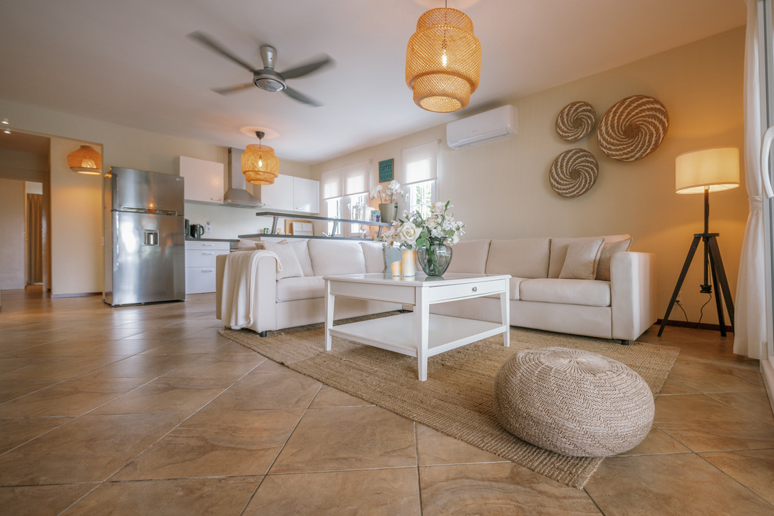 Living room and kitchen — the whole space