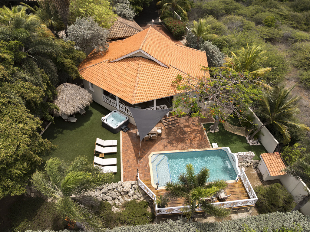 Aerial view of the house, garden and pool at Palm Breeze