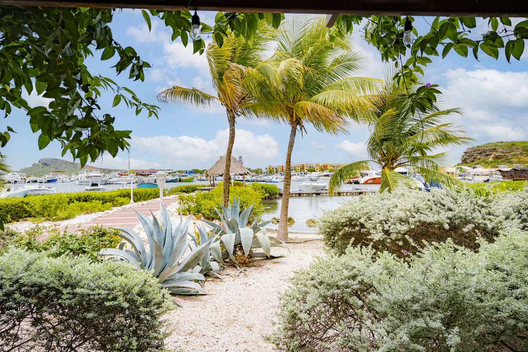 Tropical garden looking toward the marina