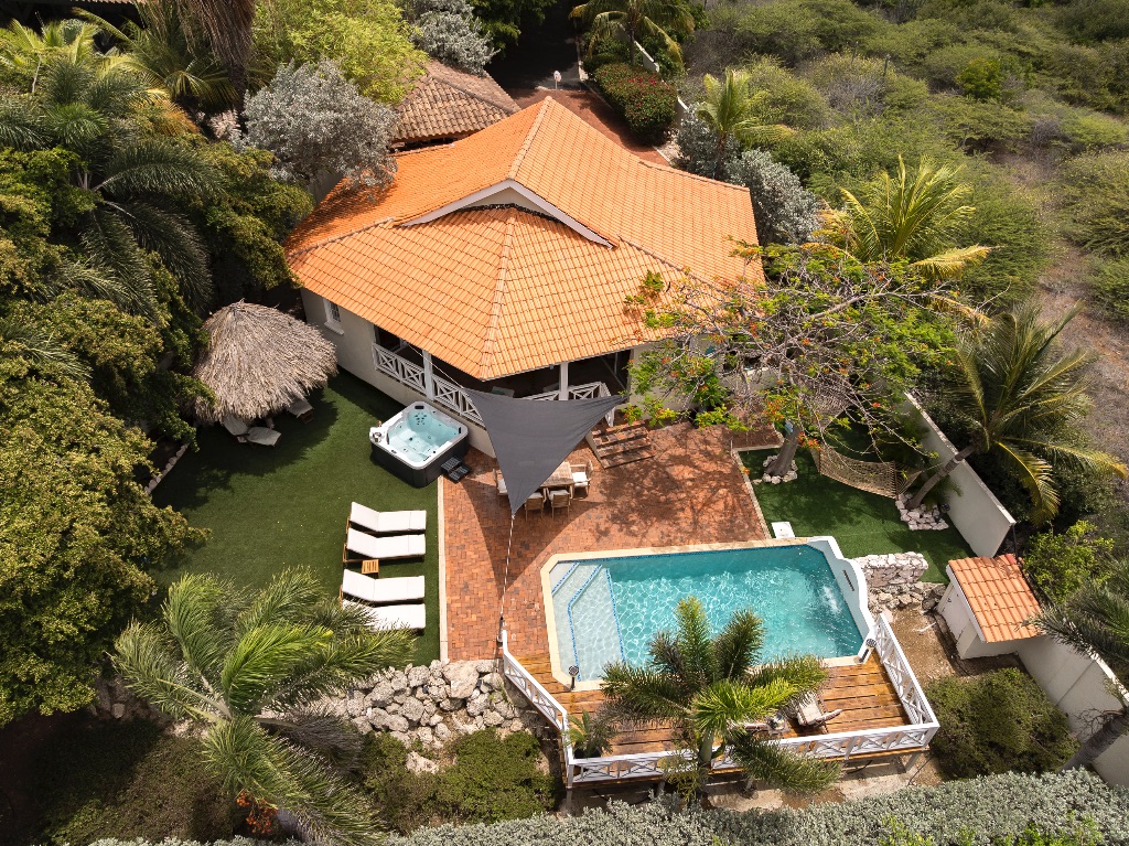 Palm Breeze - Aerial view of villa with pool and palapa